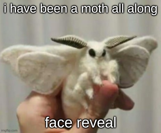 lamp | i have been a moth all along; face reveal | made w/ Imgflip meme maker