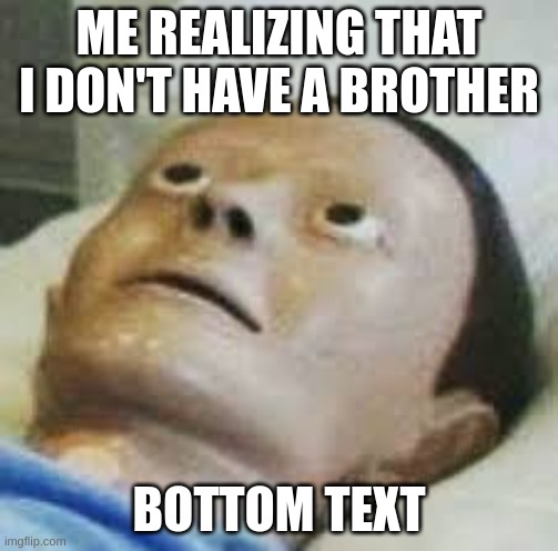 Traumatized Mannequin | ME REALIZING THAT I DON'T HAVE A BROTHER BOTTOM TEXT | image tagged in traumatized mannequin | made w/ Imgflip meme maker