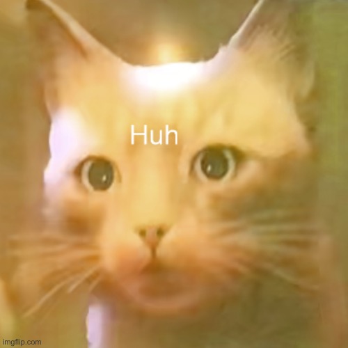 Something in my art gallery | made w/ Imgflip meme maker