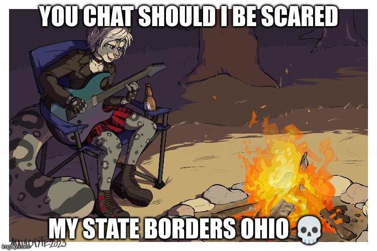 YOU CHAT SHOULD I BE SCARED; MY STATE BORDERS OHIO 💀 | made w/ Imgflip meme maker