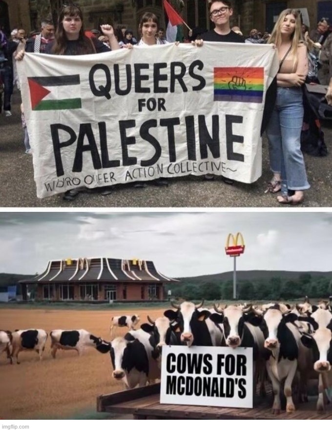 Makes Perfect Sense if You're a Liberal "progressive." | image tagged in perfect sense,sheeple,stupid sheep,special kind of stupid,stupid liberals,do you are have stupid | made w/ Imgflip meme maker