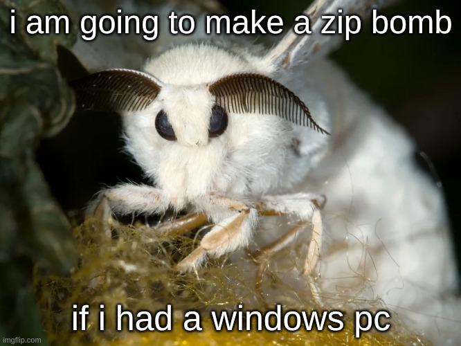 i have been freed | i am going to make a zip bomb; if i had a windows pc | made w/ Imgflip meme maker