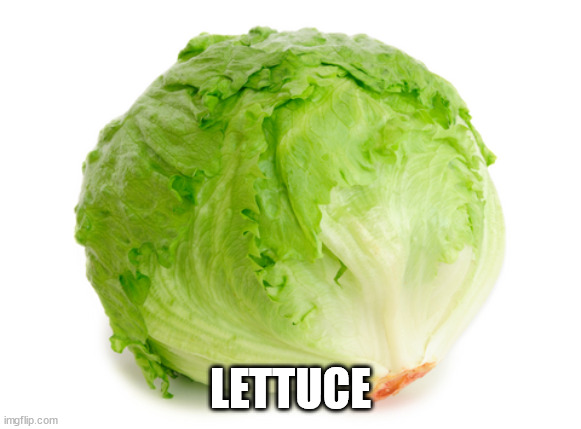 Lettuce  | LETTUCE | image tagged in lettuce | made w/ Imgflip meme maker