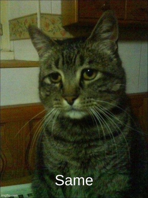 Depressed Cat Meme | Same | image tagged in memes,depressed cat | made w/ Imgflip meme maker