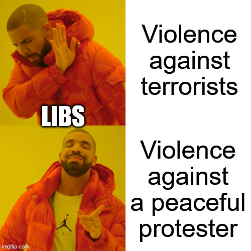 Drake Hotline Bling Meme | Violence against terrorists Violence against a peaceful protester LIBS | image tagged in memes,drake hotline bling | made w/ Imgflip meme maker