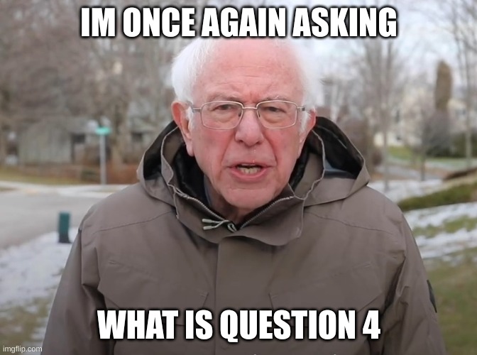 Bernie Sanders Once Again Asking | IM ONCE AGAIN ASKING; WHAT IS QUESTION 4 | image tagged in bernie sanders once again asking | made w/ Imgflip meme maker