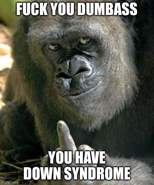 FUCK YOU DUMBASS YOU HAVE DOWN SYNDROME | image tagged in gorilla middle finger | made w/ Imgflip meme maker