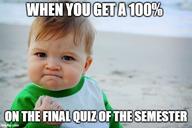 Success Kid Original | WHEN YOU GET A 100%; ON THE FINAL QUIZ OF THE SEMESTER | image tagged in memes,success kid original | made w/ Imgflip meme maker
