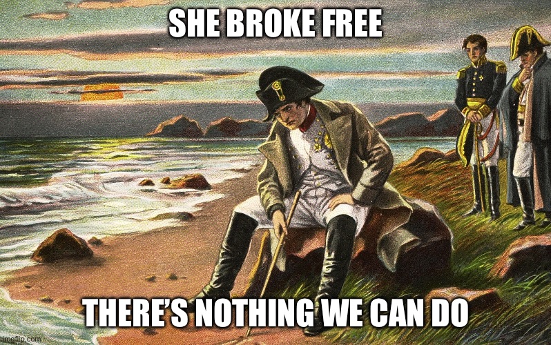 Napoleon | SHE BROKE FREE THERE’S NOTHING WE CAN DO | image tagged in napoleon | made w/ Imgflip meme maker