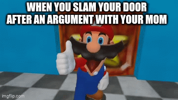 Oopsy | WHEN YOU SLAM YOUR DOOR AFTER AN ARGUMENT WITH YOUR MOM | image tagged in gifs,mario | made w/ Imgflip video-to-gif maker