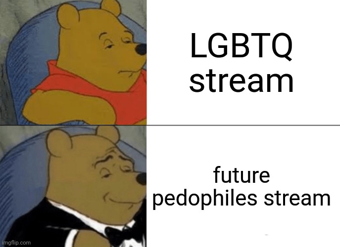 Tuxedo Winnie The Pooh Meme | LGBTQ stream future pedophiles stream | image tagged in memes,tuxedo winnie the pooh | made w/ Imgflip meme maker