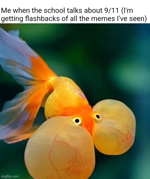 Fish holding in laugh | Me when the school talks about 9/11 (I'm getting flashbacks of all the memes I've seen) | image tagged in fish holding in laugh | made w/ Imgflip meme maker