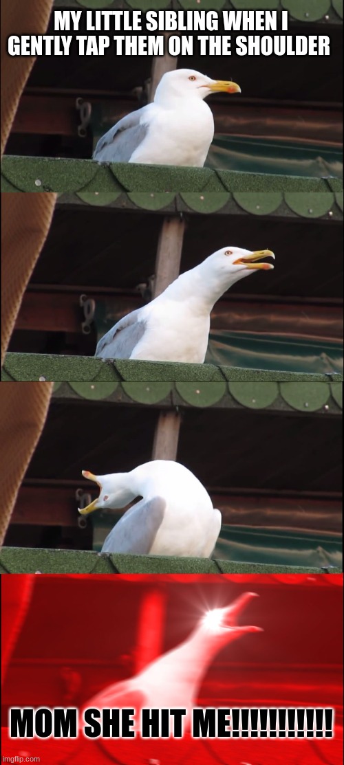 Inhaling Seagull Meme | MY LITTLE SIBLING WHEN I GENTLY TAP THEM ON THE SHOULDER; MOM SHE HIT ME!!!!!!!!!!! | image tagged in memes,inhaling seagull,siblings | made w/ Imgflip meme maker