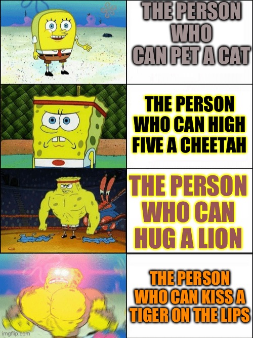 Big cat shenanigans | THE PERSON WHO CAN PET A CAT; THE PERSON WHO CAN HIGH FIVE A CHEETAH; THE PERSON WHO CAN HUG A LION; THE PERSON WHO CAN KISS A TIGER ON THE LIPS | image tagged in increasingly buff spongebob | made w/ Imgflip meme maker