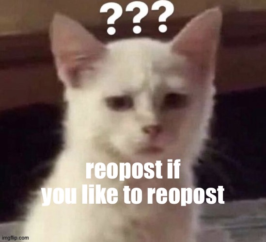 ? | reopost if you like to reopost | made w/ Imgflip meme maker