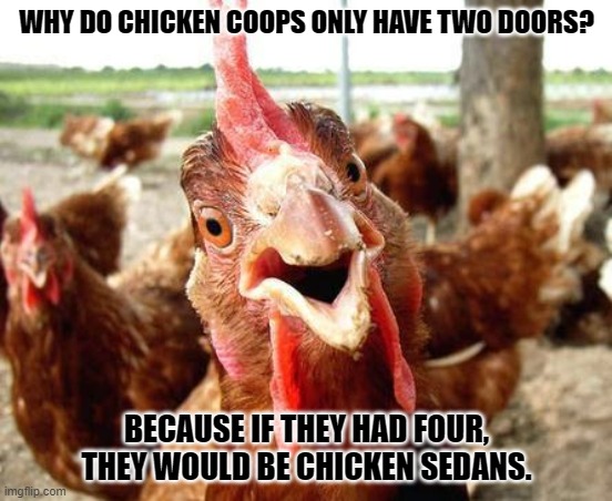 Daily Bad Dad Joke November 8, 2023 | WHY DO CHICKEN COOPS ONLY HAVE TWO DOORS? BECAUSE IF THEY HAD FOUR, THEY WOULD BE CHICKEN SEDANS. | image tagged in chicken | made w/ Imgflip meme maker