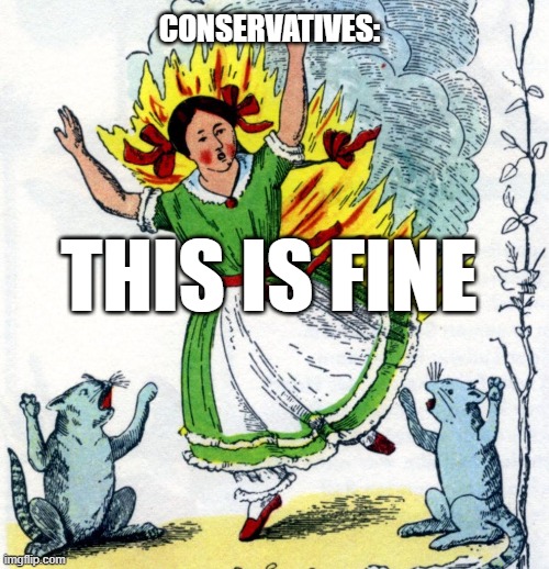 Conservatives enjoy to harm women | CONSERVATIVES:; THIS IS FINE | image tagged in this is fine - girl on fire with cats | made w/ Imgflip meme maker