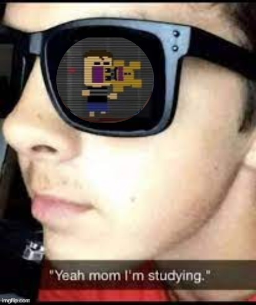 yeah mom im studying | image tagged in yeah mom im studying | made w/ Imgflip meme maker