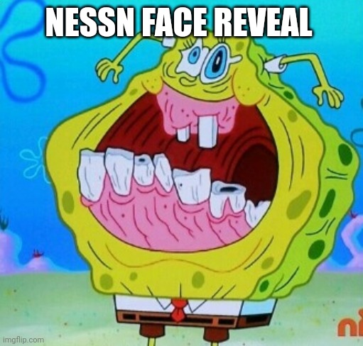 SpongeBob face freeze | NESSN FACE REVEAL | image tagged in spongebob face freeze | made w/ Imgflip meme maker