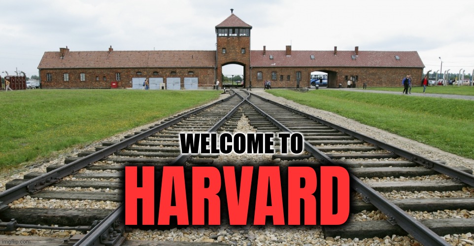You'd never know 'For Christ and Church' was their original motto | WELCOME TO; HARVARD | image tagged in auschwitz,antisemitism,nazis,unemployed | made w/ Imgflip meme maker