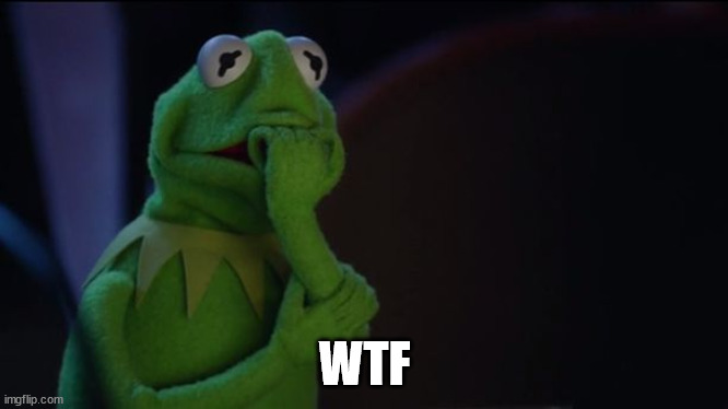 Kermit worried face | WTF | image tagged in kermit worried face | made w/ Imgflip meme maker