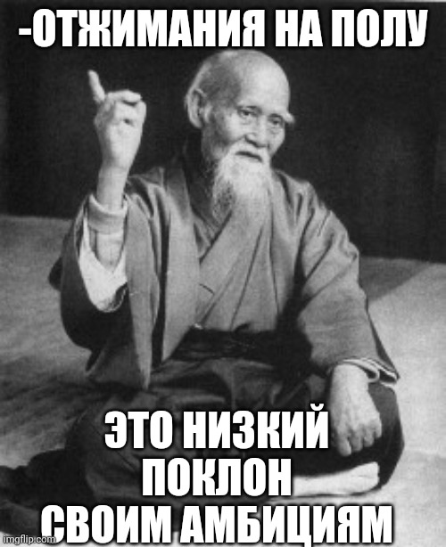 -From a floor by little range. | -ОТЖИМАНИЯ НА ПОЛУ; ЭТО НИЗКИЙ ПОКЛОН СВОИМ АМБИЦИЯМ | image tagged in aikido master,sports fans,workout excuses,privilege,owned,original character | made w/ Imgflip meme maker