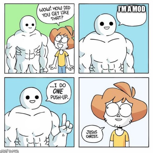 Ofc | I’M A MOD | image tagged in wow how did you get like that template | made w/ Imgflip meme maker