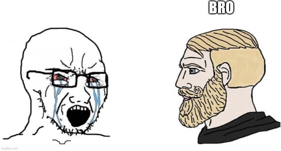 crying wojak vs chad | BRO | image tagged in crying wojak vs chad | made w/ Imgflip meme maker