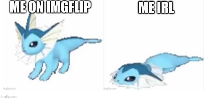 everyone: | ME ON IMGFLIP; ME IRL | image tagged in vaporeon format,idk,oh wow are you actually reading these tags,stop reading the tags | made w/ Imgflip meme maker