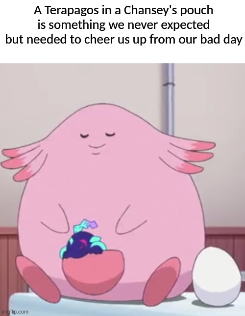 Pokemon Horizons Wholesome moment | A Terapagos in a Chansey's pouch is something we never expected but needed to cheer us up from our bad day | image tagged in memes,funny,pokemon,anime,wholesome,pokemonanime | made w/ Imgflip meme maker