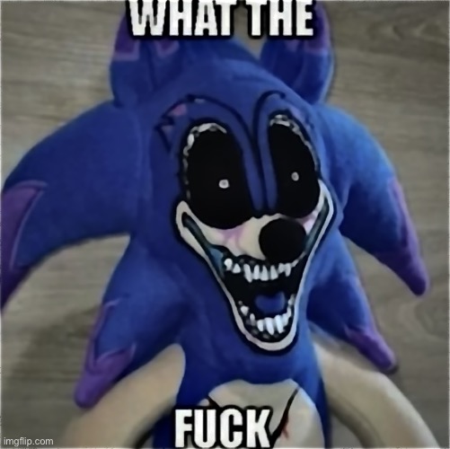 What the fuck sonic.exe | image tagged in what the fuck sonic exe | made w/ Imgflip meme maker