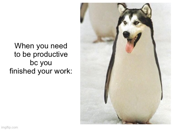 So you just make it look like ir still working | When you need to be productive bc you finished your work: | image tagged in blank white template,productivity,school,penguins,dogs,dog | made w/ Imgflip meme maker