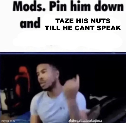 rehehehe | TAZE HIS NUTS TILL HE CANT SPEAK | image tagged in mods pin him down and twist his nuts counter-clockwise | made w/ Imgflip meme maker