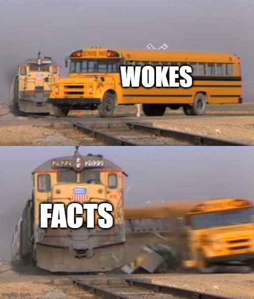A train hitting a school bus | WOKES; FACTS | image tagged in a train hitting a school bus | made w/ Imgflip meme maker