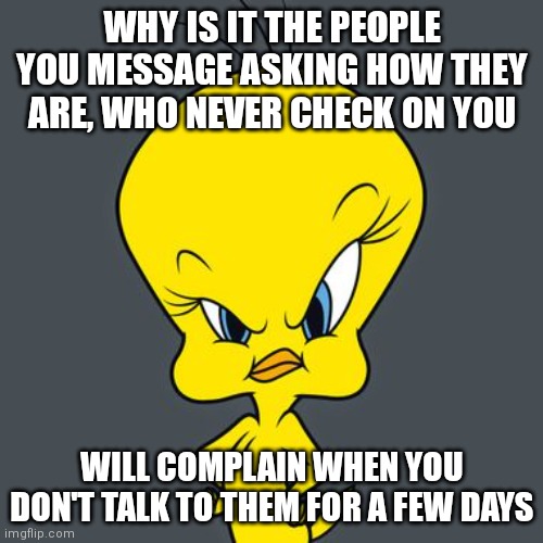 Angry Tweety | WHY IS IT THE PEOPLE YOU MESSAGE ASKING HOW THEY ARE, WHO NEVER CHECK ON YOU; WILL COMPLAIN WHEN YOU DON'T TALK TO THEM FOR A FEW DAYS | image tagged in angry tweety,friends,family,inconsiderate,people,rude | made w/ Imgflip meme maker