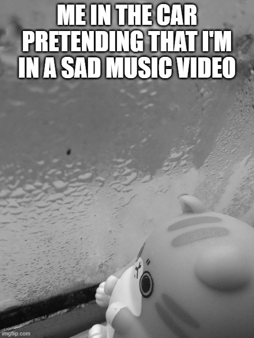 ME IN THE CAR PRETENDING THAT I'M IN A SAD MUSIC VIDEO | image tagged in cat,relatable,funny | made w/ Imgflip meme maker