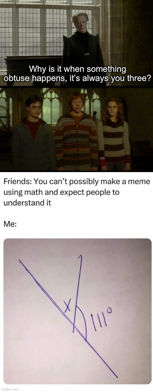 Potter heads and Math heads will get this | Why is it when something obtuse happens, it’s always you three? | image tagged in why is it when something happens blank,math,triangle,geometry | made w/ Imgflip meme maker