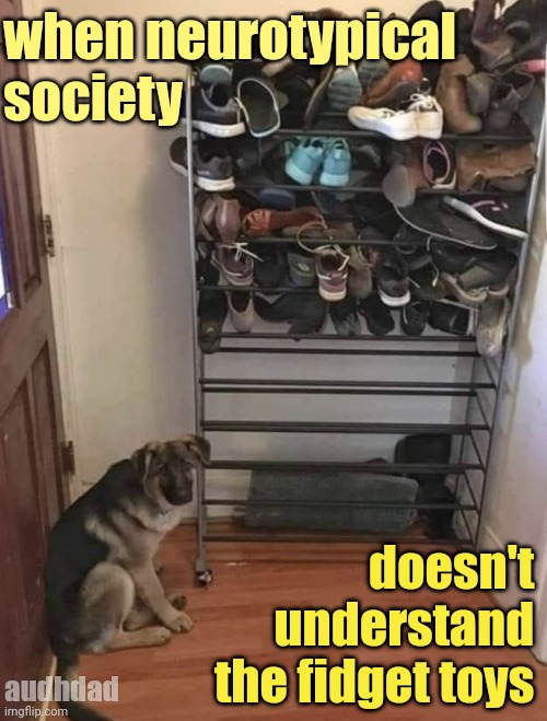 Hiding the dog's fidget toys | when neurotypical 
society; doesn't 
understand 
the fidget toys; audhdad | image tagged in hiding all the toys,memes,adhd,audhd,fidget toys,autism | made w/ Imgflip meme maker