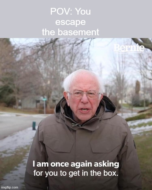 Just posting in here for fun. | POV: You escape the basement; for you to get in the box. | image tagged in memes,bernie i am once again asking for your support | made w/ Imgflip meme maker