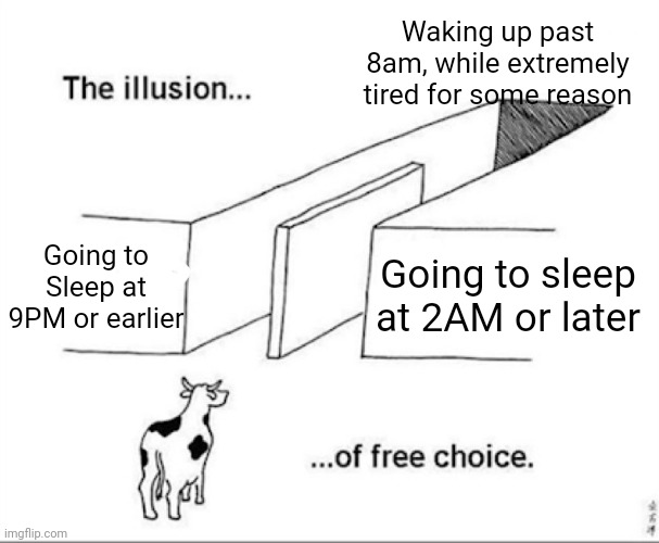 Idk why this always happens | Waking up past 8am, while extremely tired for some reason; Going to Sleep at 9PM or earlier; Going to sleep at 2AM or later | image tagged in illusion of free choice,memes,relatable,relatable memes,meme | made w/ Imgflip meme maker