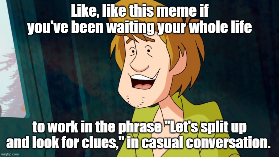 Jinkies. Rut roh. | Like, like this meme if you've been waiting your whole life; to work in the phrase "Let's split up and look for clues," in casual conversation. | image tagged in scooby doo | made w/ Imgflip meme maker