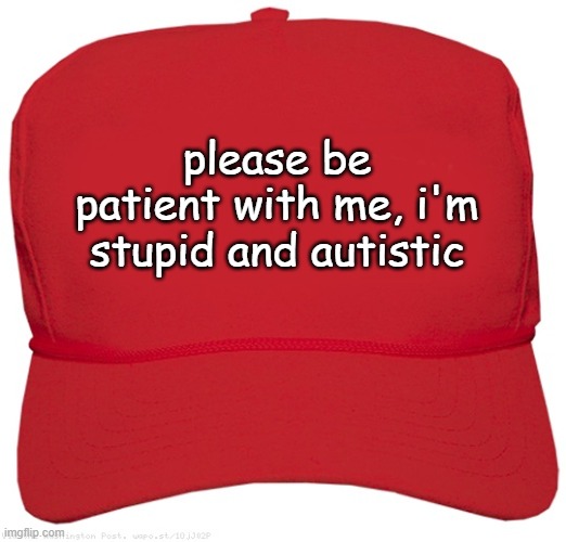 This is the hat I wear | please be patient with me, i'm stupid and autistic | image tagged in tag removed bc i dont care | made w/ Imgflip meme maker