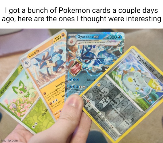 I got a bunch of Pokemon cards a couple days ago, here are the ones I thought were interesting | made w/ Imgflip meme maker