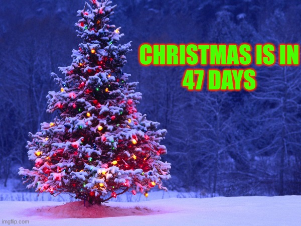 CHRISTMAS IS IN
47 DAYS | image tagged in memes,christmas,countdown,merry christmas,santa claus | made w/ Imgflip meme maker