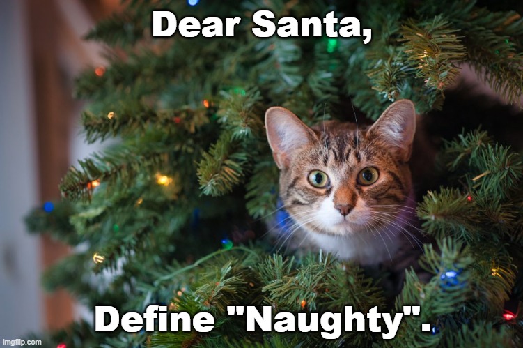 Define Naughty | Dear Santa, Define "Naughty". | image tagged in christmas memes,funny cat memes,cats,cat memes | made w/ Imgflip meme maker