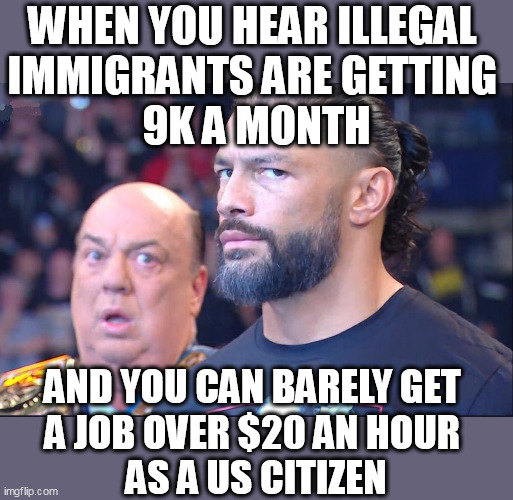 When you hear illegal immigrants are getting 9k a month | WHEN YOU HEAR ILLEGAL 
IMMIGRANTS ARE GETTING 
9K A MONTH; AND YOU CAN BARELY GET 
A JOB OVER $20 AN HOUR 
AS A US CITIZEN | image tagged in roman reigns,politics,illegal immigration,chicago,america | made w/ Imgflip meme maker