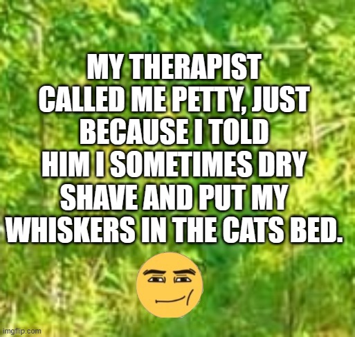 therapy | MY THERAPIST CALLED ME PETTY, JUST BECAUSE I TOLD HIM I SOMETIMES DRY SHAVE AND PUT MY WHISKERS IN THE CATS BED. | image tagged in therapy,cat hair | made w/ Imgflip meme maker