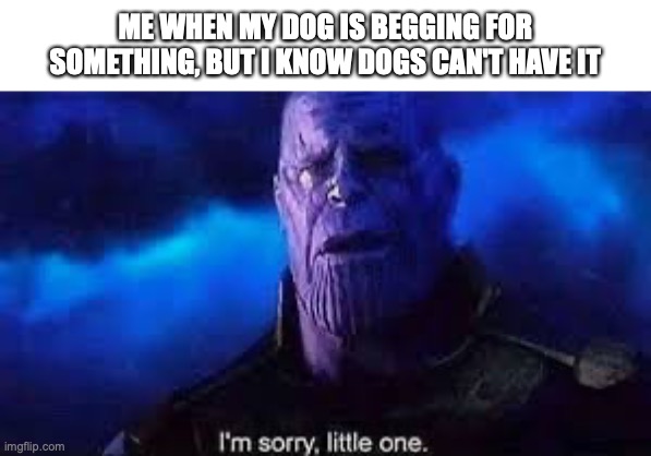 Very sad | ME WHEN MY DOG IS BEGGING FOR SOMETHING, BUT I KNOW DOGS CAN'T HAVE IT | image tagged in i m sorry little one | made w/ Imgflip meme maker