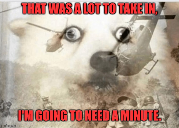 PTSD dog | THAT WAS A LOT TO TAKE IN, I'M GOING TO NEED A MINUTE. | image tagged in ptsd dog | made w/ Imgflip meme maker