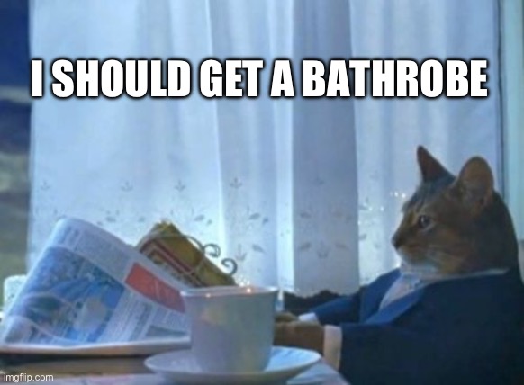 I Should Buy A Boat Cat Meme | I SHOULD GET A BATHROBE | image tagged in memes,i should buy a boat cat | made w/ Imgflip meme maker